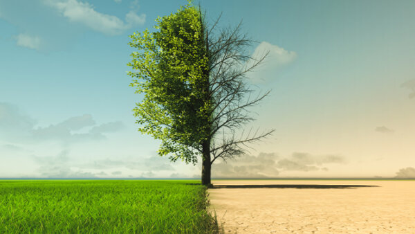 Klimawandel ist auch eine Frage der Gerechtigkeit (Symbolbild einer halb verdorrten Landschaft)